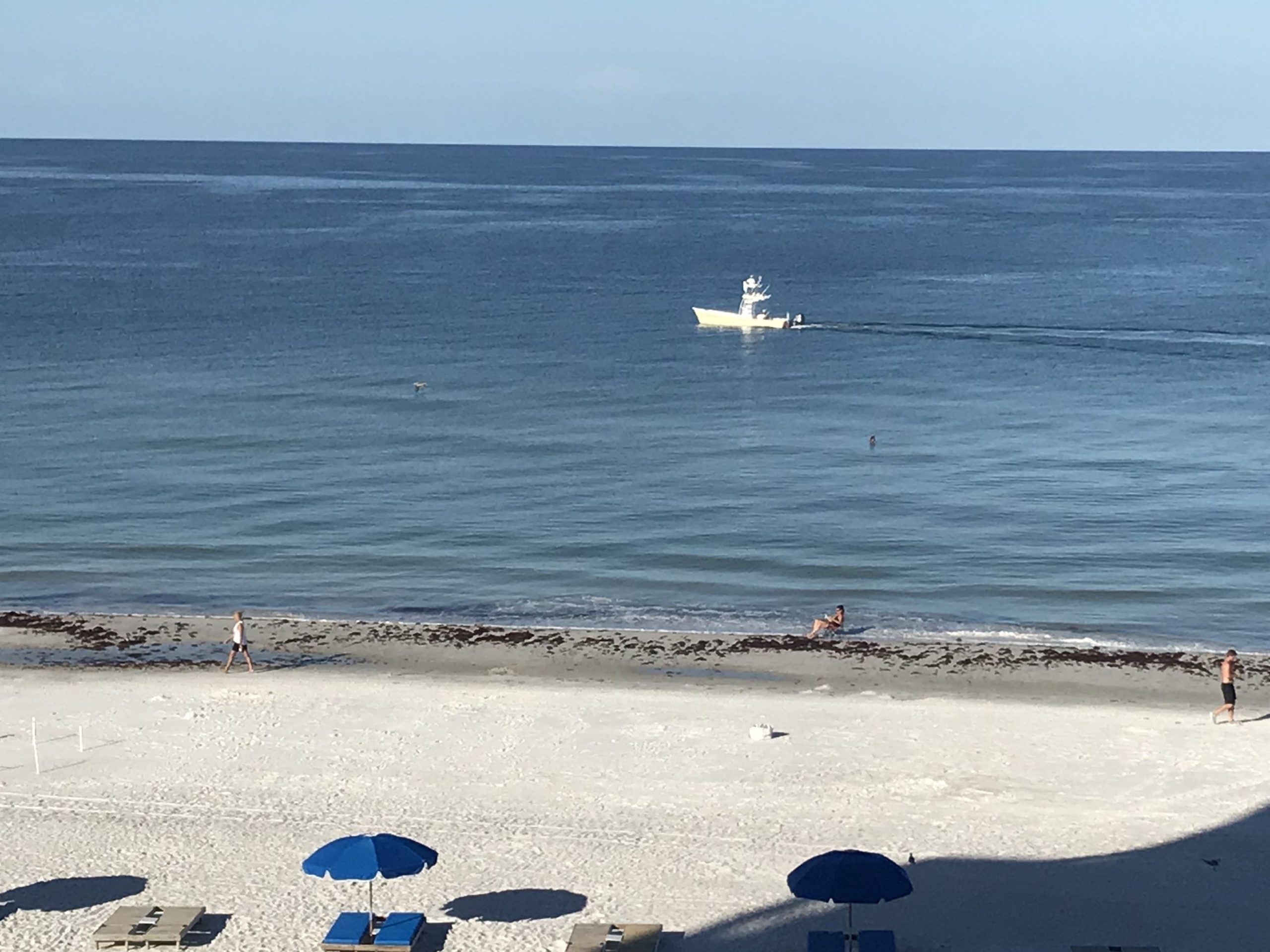 Barefoot Resort Vacation Rentals and Beach House Indian Shores Florida Your Dream Coastal Escape